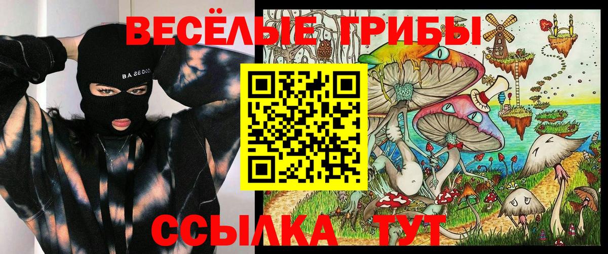 Псилоцибиновые грибы Cubensis  Вход с VPN  Галлюциногенные грибы мухоморы  Петрозаводск 